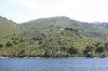 IMG_6698.jpg
