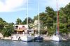 IMG_6816.jpg