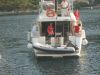 Picture_010.jpg